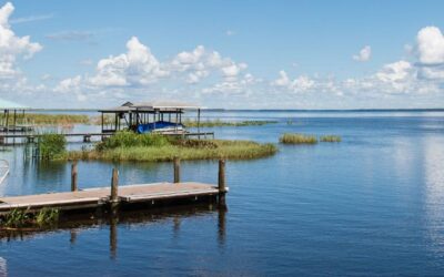The Sebring Lifestyle: Beyond the Race Track – Unleash Your Inner Angler at Lake Istokpoga
